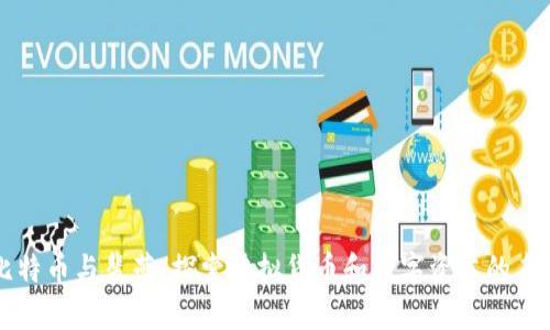 比特币与裴蕾：探索虚拟货币和数字资本的未来