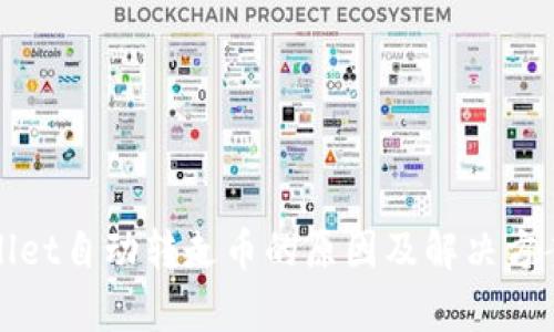 tpWallet自动转走币的原因及解决方案解析