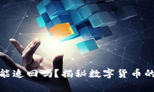 tpwallet被盗币能追回吗？揭秘数字货币的安全与追回机制