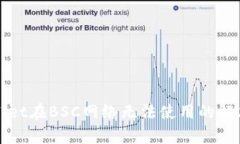 tpWallet在BSC网络无法使用的解决方案