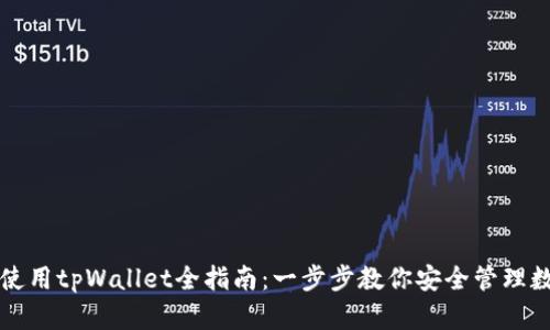 下载与使用tpWallet全指南：一步步教你安全管理数字资产
