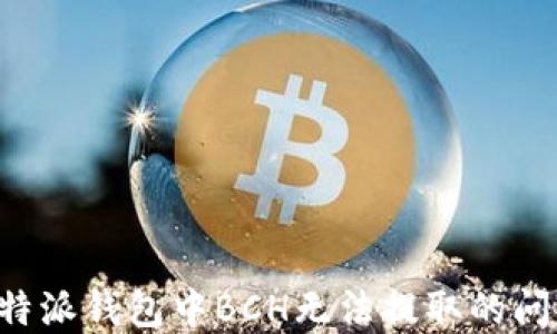 
如何解决比特派钱包中BCH无法提取的问题：全面指南
