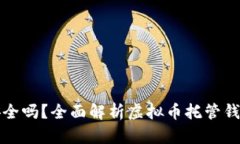 虚拟币托管钱包安全吗？全面解析虚拟币托管钱
