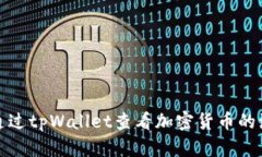 如何通过tpWallet查看加密货