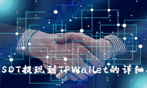 用USDT提现到TPWallet的详细指南