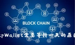 币安提现到tpWallet需要等待