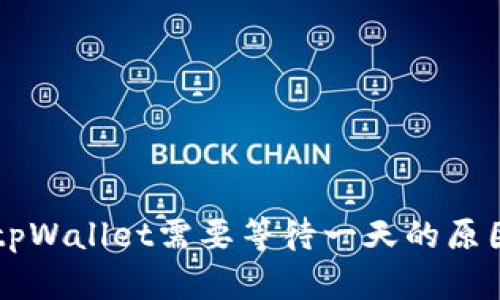 币安提现到tpWallet需要等待一天的原因与解决方案