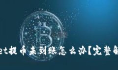 tpWallet提币未到账怎么办？完整解决指南