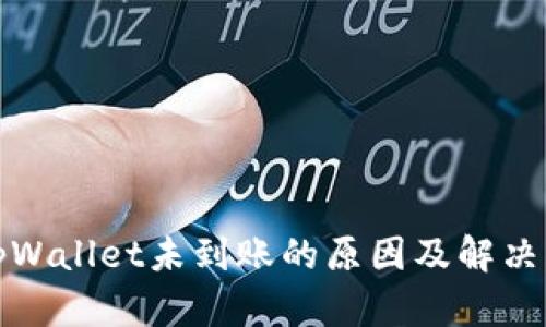 提币到tpWallet未到账的原因及解决方法详解
