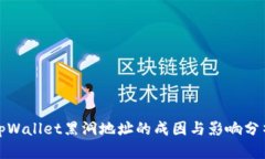 tpWallet黑洞地址的成因与影响分析